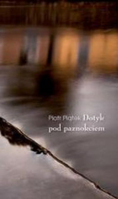 Dotyk Pod Paznokciem (2013)