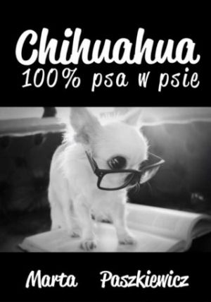 Chihuahua 100% Psa W Psie
